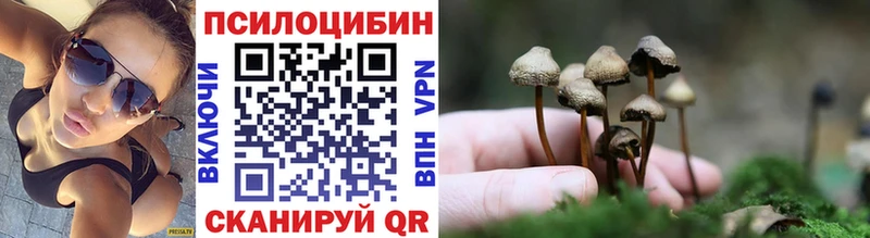 blacksprut ONION  Гвардейск  Псилоцибиновые грибы прущие грибы 